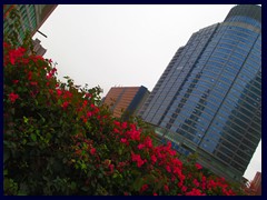 Ultramodern highrises seen from an overpass of Zhongshan Avenue near our hotel.